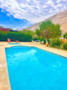 Top Pisco Elqui