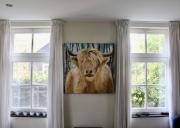 Top Sterksel Top Sterksel