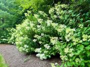 Top Great Barrington