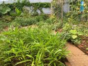 Top Buôn Dhă Prŏng