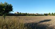 Top Barcelos