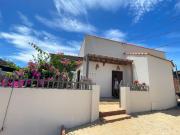 Tổ Ong Kiến Bình Định