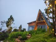 Top Bon Tan Djiran B