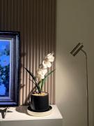 Malath - The Bohemian Haven