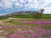 Top Villanueva de la Concepción