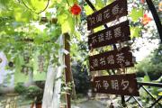 Top Fengyukou Top Fengyukou