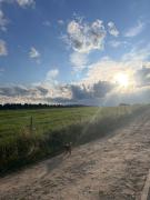 Top Stare Bystre Top Stare Bystre