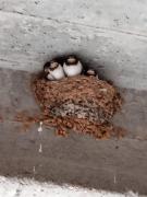 Écrin Minéral au cœur de Vallon-Pont-dArc