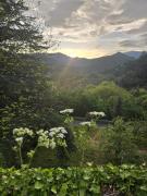 Top Notre-Dame-de-la-Rouvière