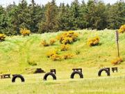 Top Brovst Top Brovst