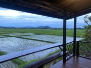 Top Ban Muang Wa