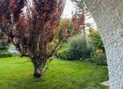 Top Puebla de Don Fadrique