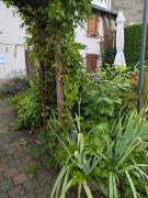 Top Étival-Clairefontaine