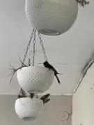 Top Haridwār Top Haridwār