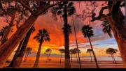 Sunset Boulevard Rooms