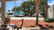 Top New Smyrna Beach