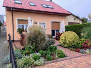 Top Pszczew Top Pszczew