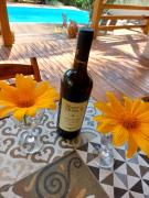 Top São Miguel do Gostoso