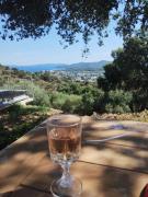 Top Bormes-les-Mimosas
