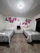 Top Xilitla Top Xilitla