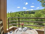 Top Snowmass Village