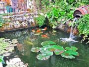 Top Roquecor Top Roquecor