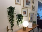 Awesome views & Great location apartment