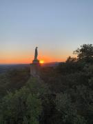 Maison neuve de plain pied au cœur dun jardin arboré