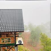 Top Ban Pong Khai Tai Top Ban Pong Khai Tai