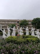 Top Govardhan