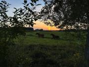 Top Świętajno Top Świętajno