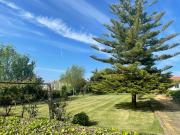 Top Canedo Top Canedo