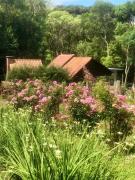 Chalé com Vista para Vinhedo e Natureza
