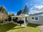 Forest-Fringed Comfort