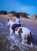 Top Santa Maria Del Focallo