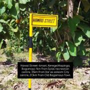 The elfa home - family recede