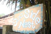 Sea Side Nest