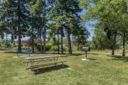 Top Oak Harbor