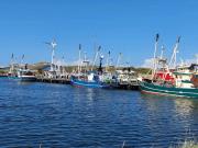Top Ringkøbing