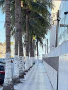 Pé na Areia Praia da Mirim