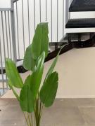 Aqua Haven - Modern Waterfront Escape