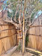 Sylvan Cabana Arugam Bay