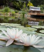 Poggenhagen Urlaub mitten in der Natur