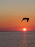 Romantic Beachfront Sunsets