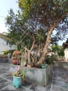 Casa Espaçosa área verde e Camping