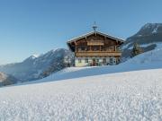 Apartment in Embach near Gastein Ski Area