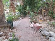 Top Playa del Carmen