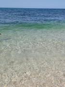 Top Bisceglie