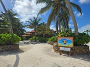 Top San Pedro Top San Pedro