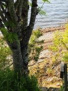 Snåsa Bryggehage - Top apartment